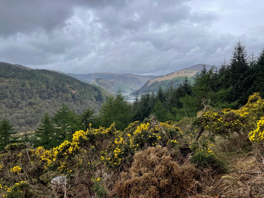 Wicklow Way Ireland
